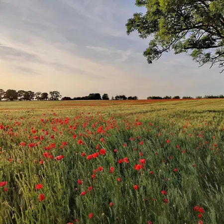 Landurlaub Nahe Insel Poel In Дом отдыха Krusenhagen
